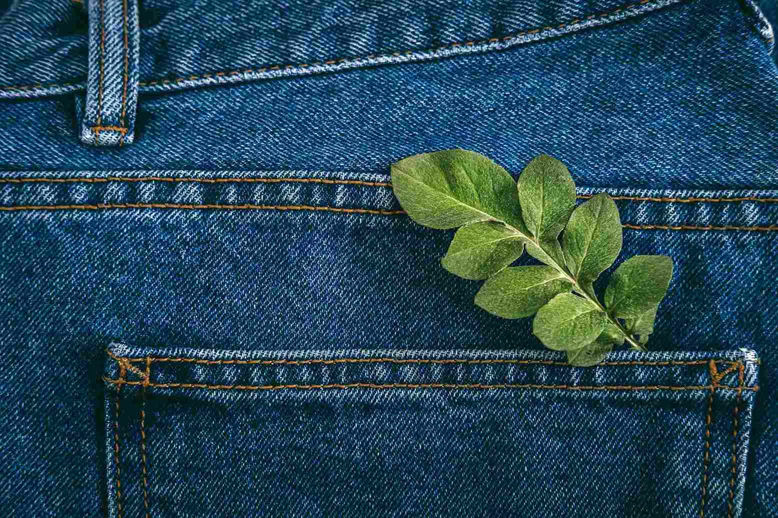 Sustainable Fashion in India: Brands Leading the Change