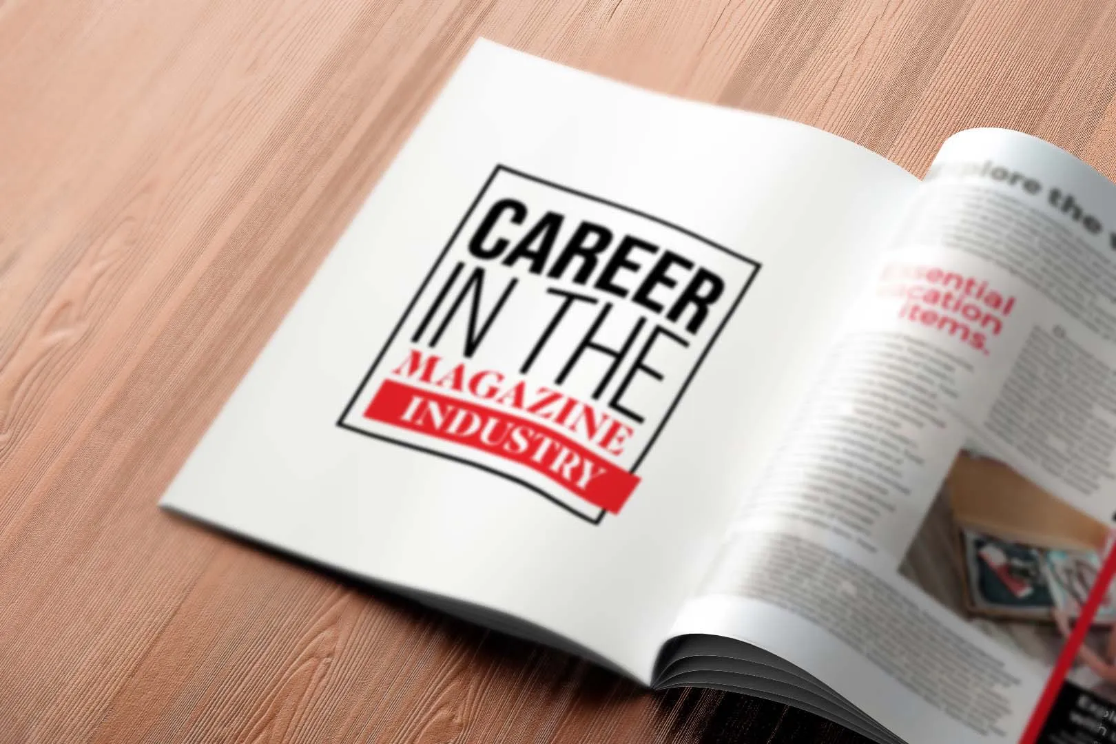 Career in the Magazine Industry