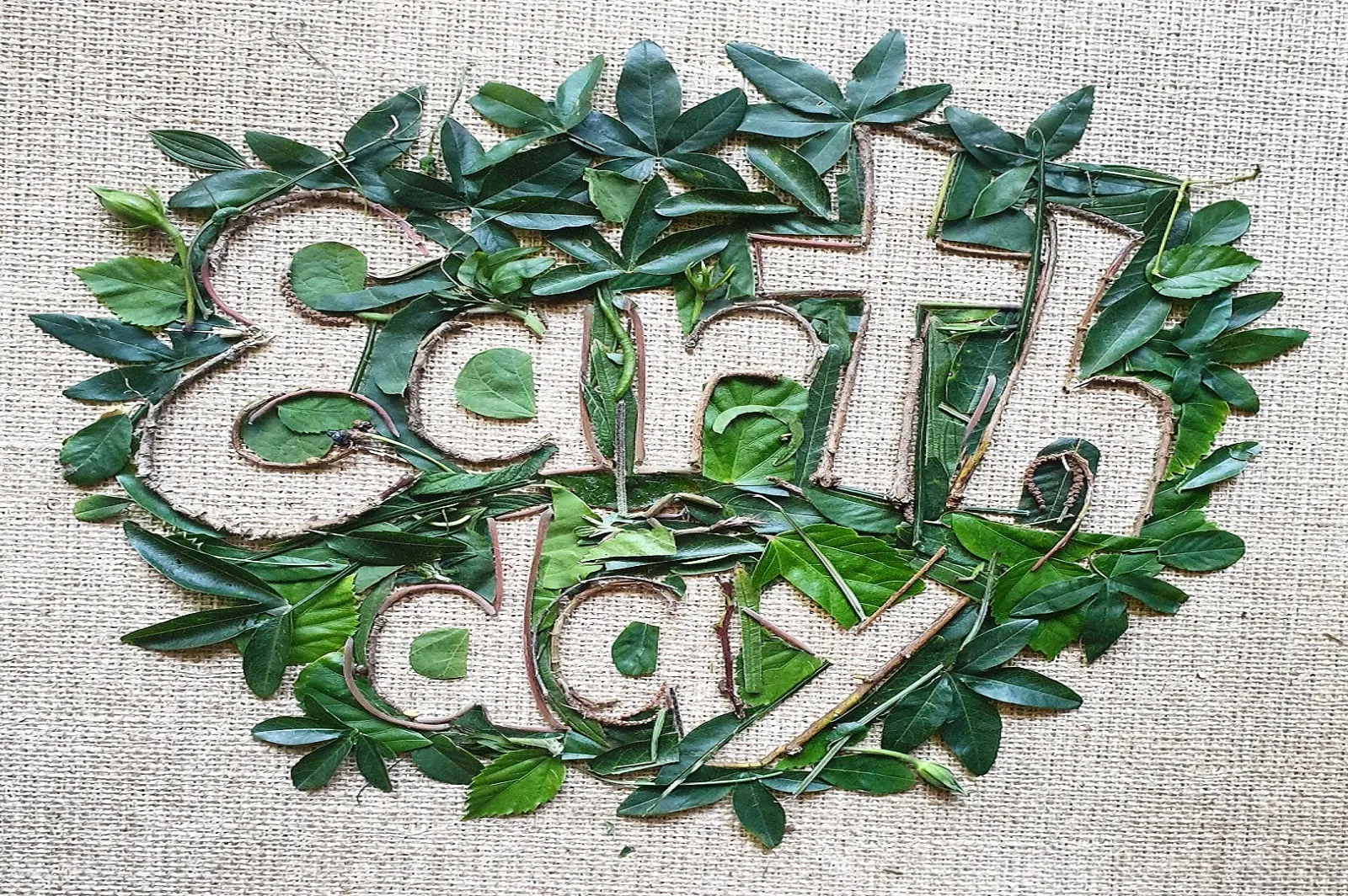 Earth Day: Ways To Promote As A Model