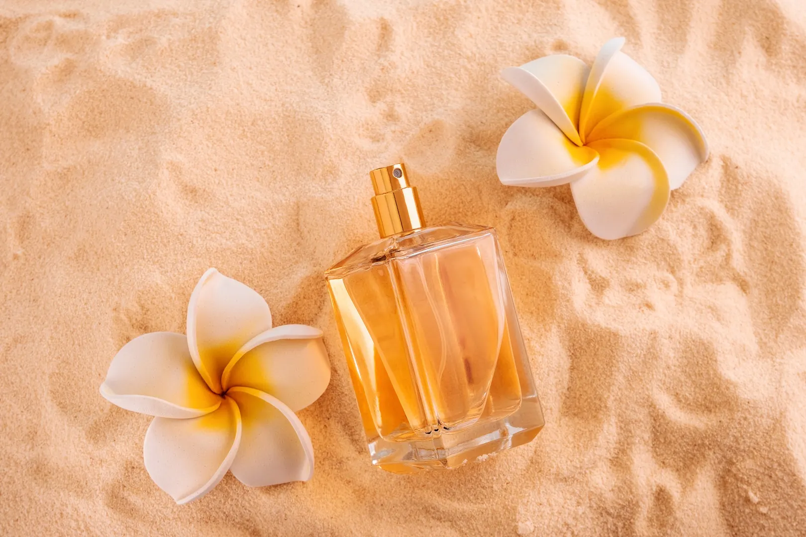 Perfumes for Summer: Stay Fresh, Light, and Confident